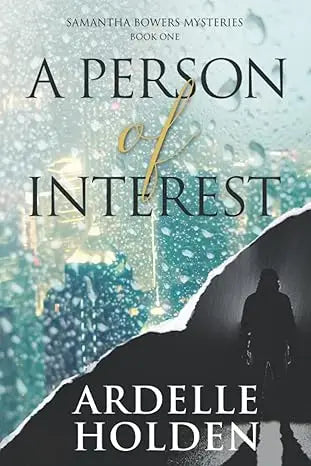 The book cover of a person of interest by ardele holden shows a silhouette against a teal and black rainy cityscape