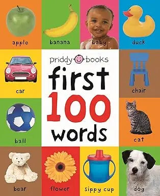 First 100 words padded board book by priddy books features colorful illustrations of common objects on a bright background
