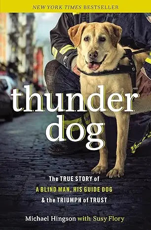 A golden labrador retriever wearing a black harness stands beside a firefighter in thunder dog true story cover